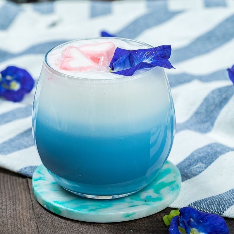 Benih bunga Telang || Bibit bunga TELANG UNGU Butterfly Pea