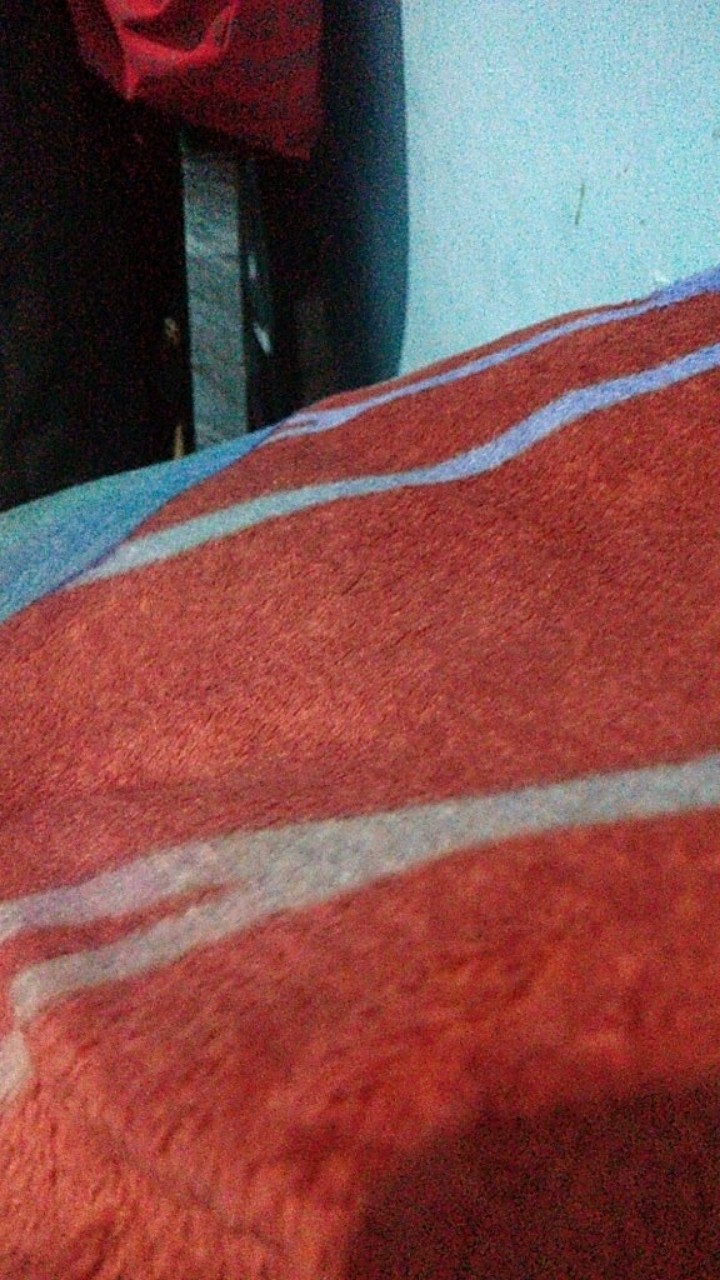 Sprei 160 Vito Motif Alphabetanimal/lovepanda/pinktourmaline/rockstar