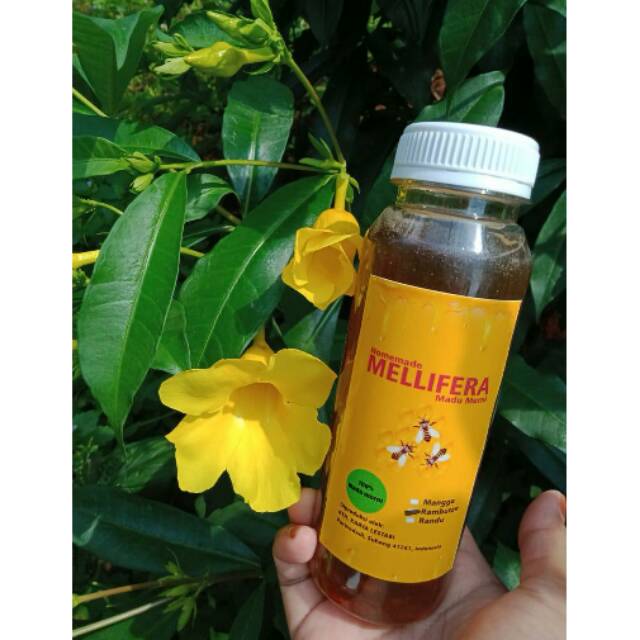

MADU MURNI MELLIFERA ASLI / 250 ML