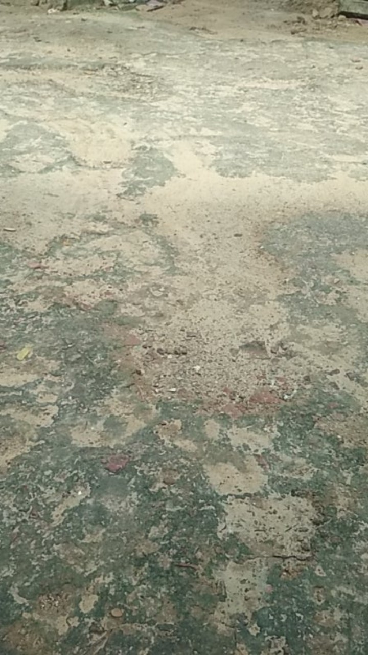 Aska Couple, Batik Couple Keluarga|| Couple Sarimbit Motif Ayam Terbaru