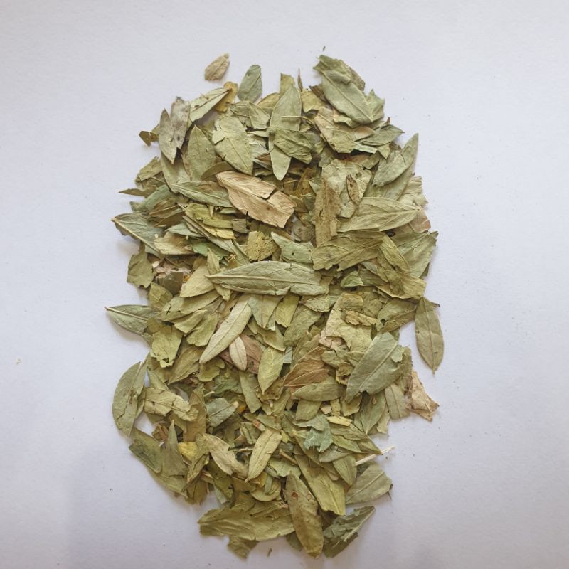 

Teh Daun Jati Cina 1KG