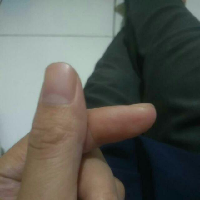 Hoya Tumbler Profil 400ml Bpa Free