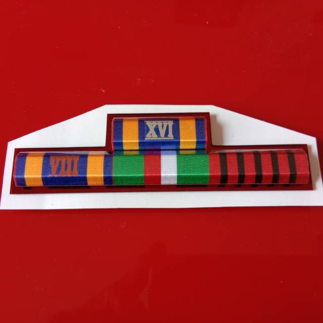 16,8,Darmanusa,Oprasi Kepolisian Satya Lencana Polri Pdh Model Prisma.