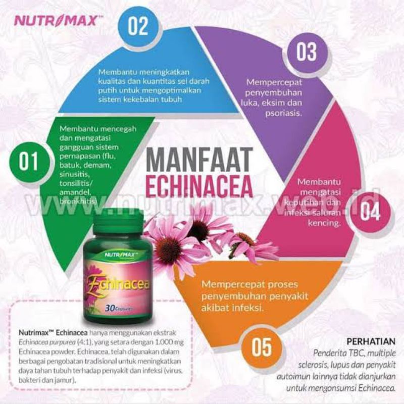 NUTRIMAX ECHINACEA EXTRACT 1000MG VITAMIN KEKEBALAN DAYA