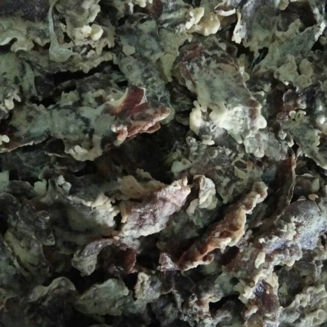 

Kerupuk paru
