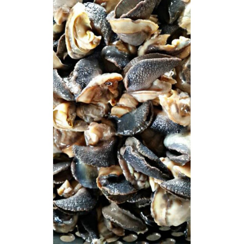 

500 gram daging bekicot