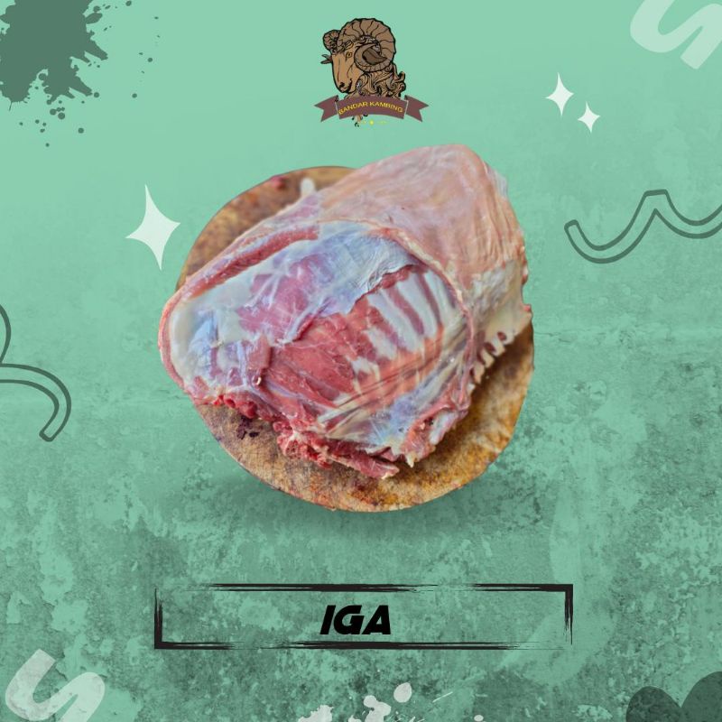 

iga kambing segar