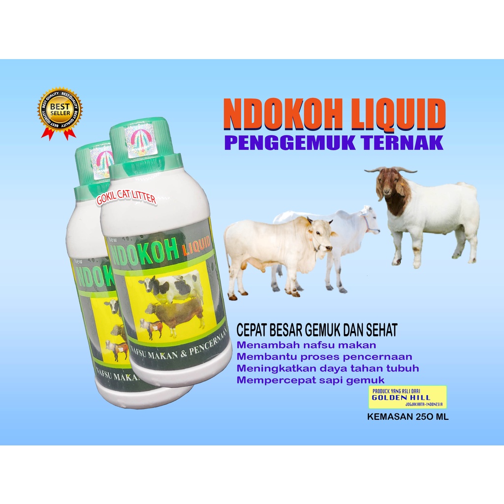 OBAT VITAMIN PENGGEMUK SAPI-NDOKOH LIQUID-PENAMBAH NAFSU MAKAN SAPI,KERBU,KAMBING, DOMBA,