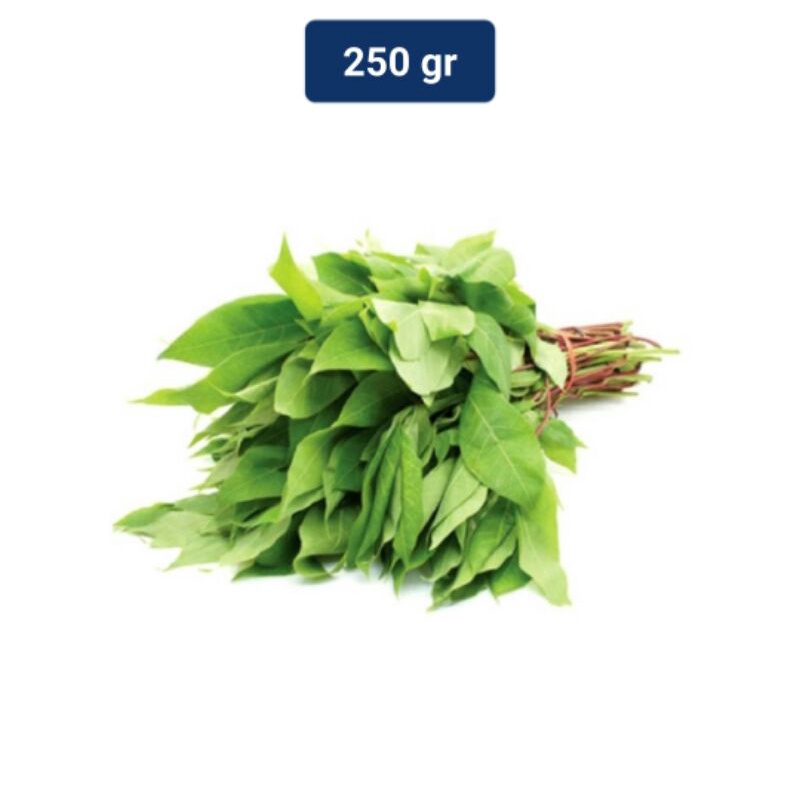 Daun singkong muda Murah