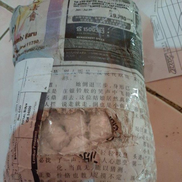 Male Connectors 1/4-1/4 Quick Connect