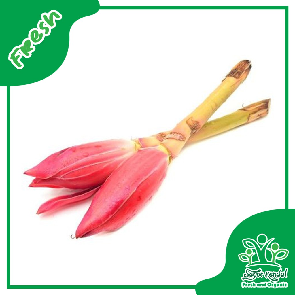 

Kecombrang - Sayur Kendal