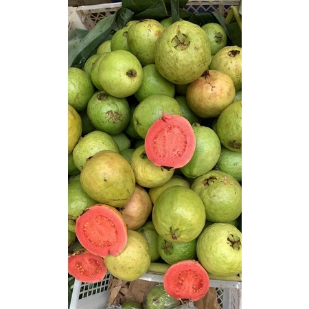 

jambu biji 1kg