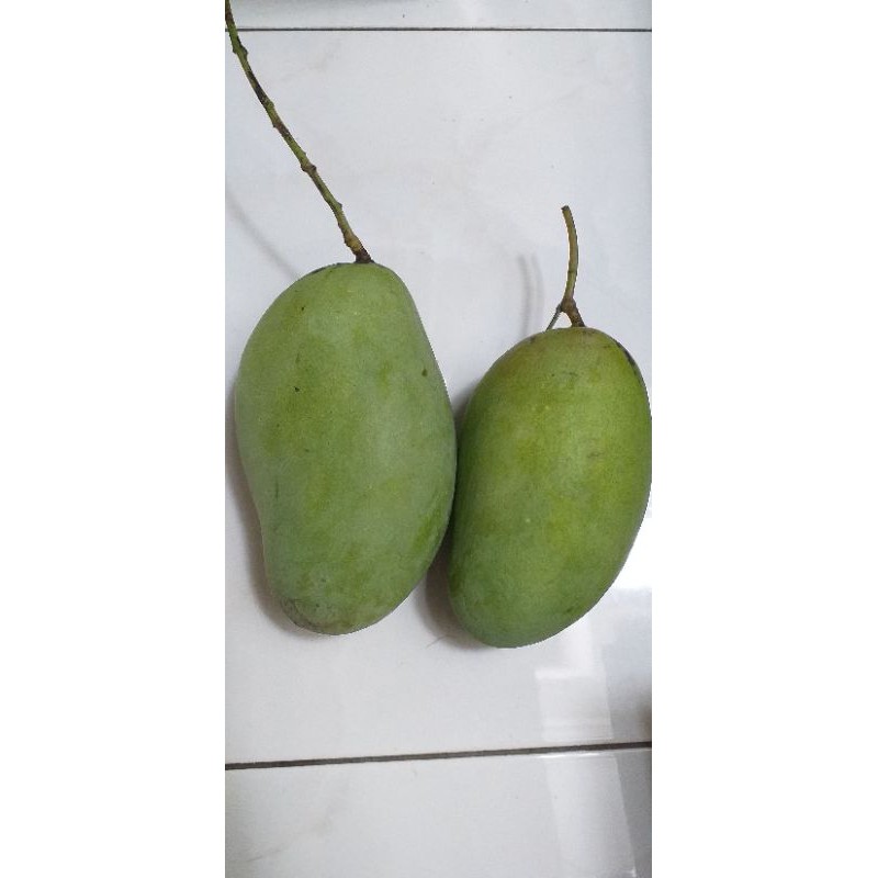 

Mangga