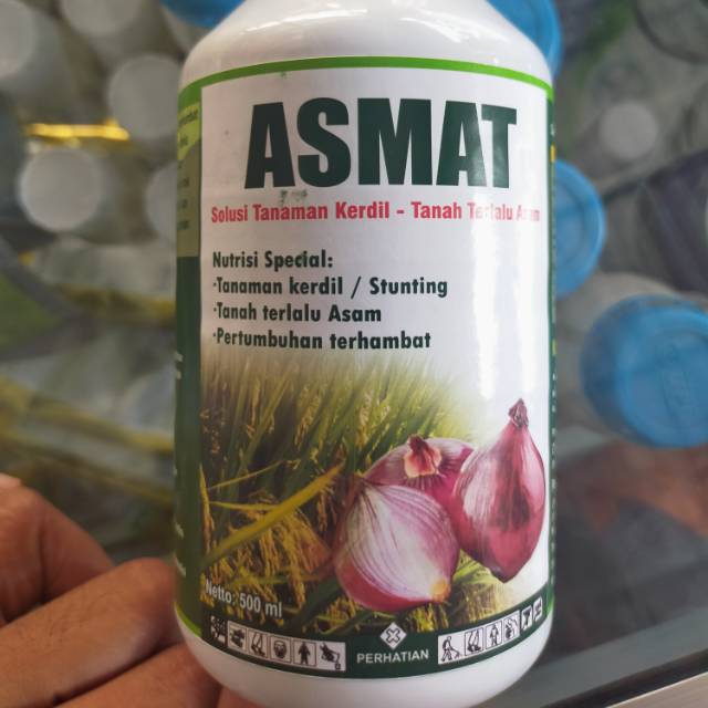 Nutrisi Tanaman Kerdil Asmat 500 ml