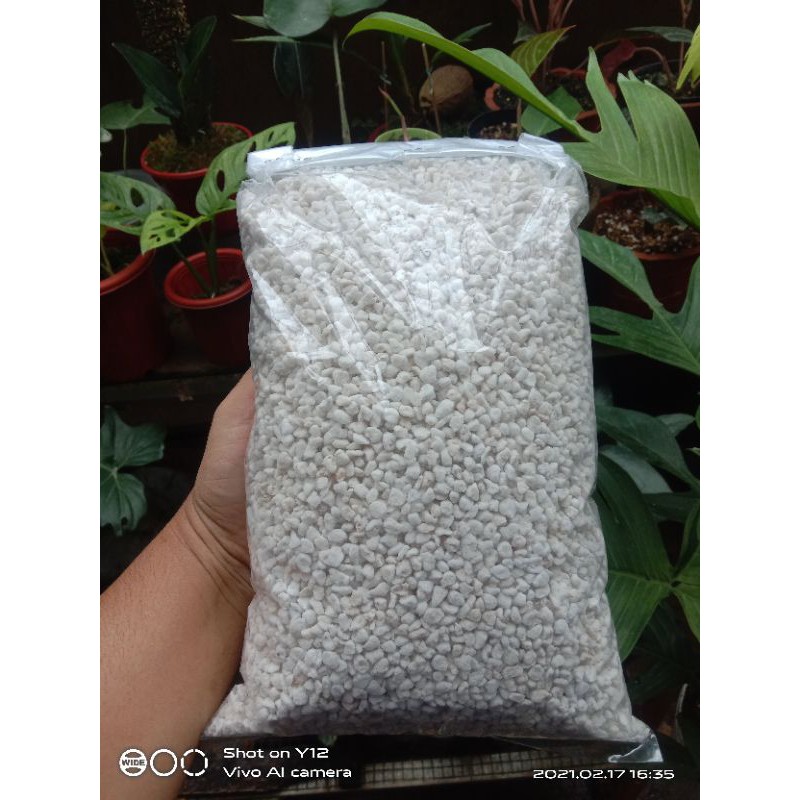 Media Tanam/Perlite