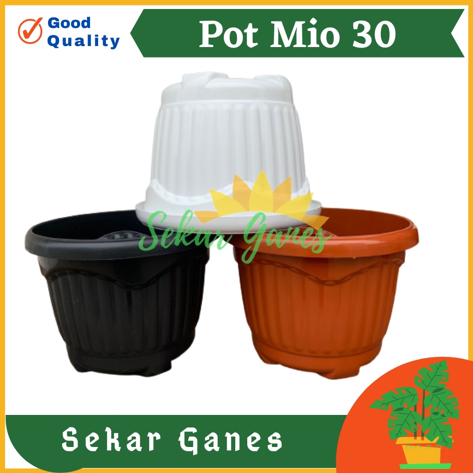 PROMO TERMURAH POT SHALLOM MIO 30 pot bunga bulat besar tebal murah pot bunga pot tanaman pot murah