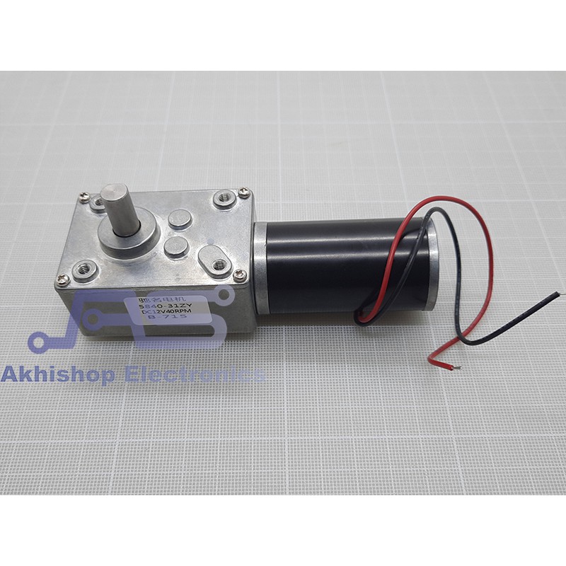 Permanent Magnet Worm Gear Motor DC 4058GW31ZY 12V 40RPM