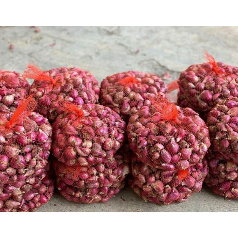 

Bawang Merah Brebes Murah 1Kg