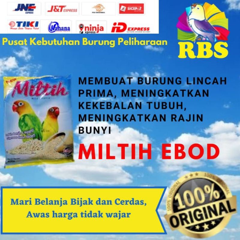 Miltih Ebod Millet Putih Penggacor Lovebird