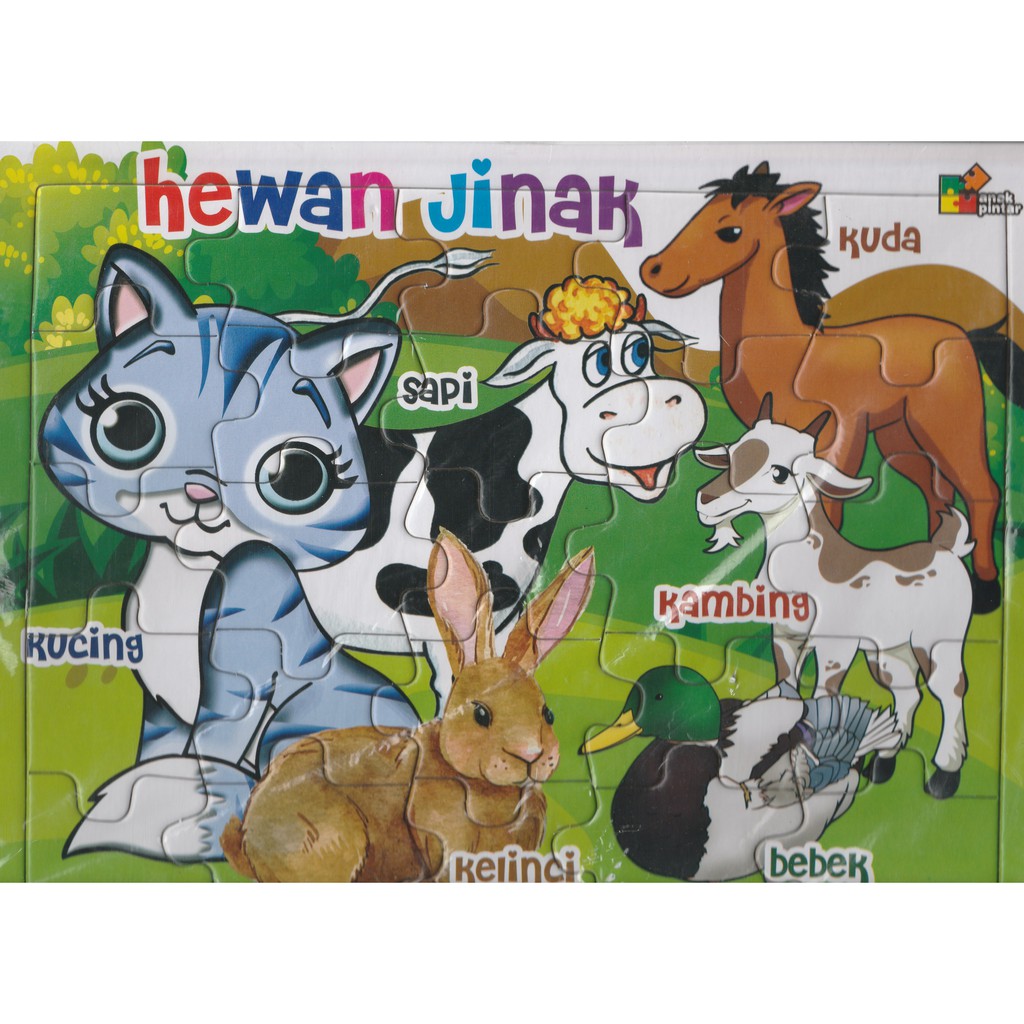 28 Gambar Hewan Jinak Kartun Gambar Kartun Ku