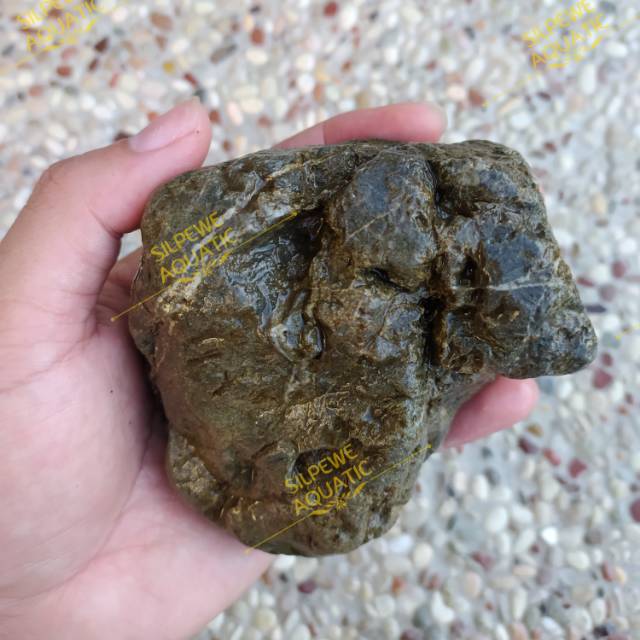 BISA COD | BATU TRULY 1KG | SEBAGAI ALTERNATIF AQUASCAPE | PALUDARIUM |