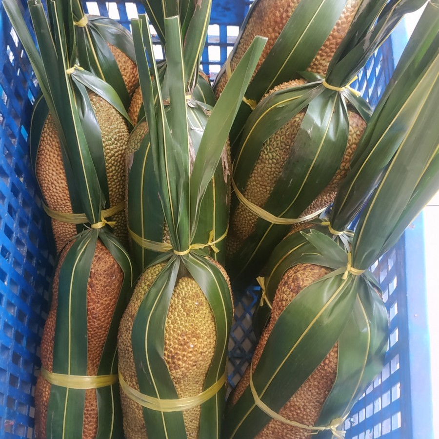 

Cempedak Pontianak /each