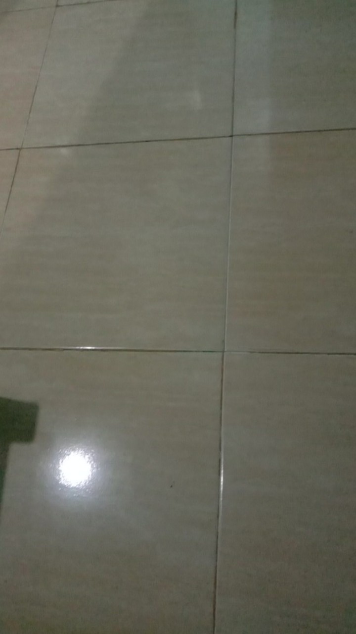 [termurah] 10pcs Kaos Kaki Ankle Brown Line+tas Logo Brown Line Kaos Kaki Import