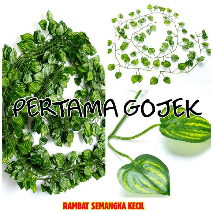 Lusinan Rambat Kecil/Daun Rambat Plastik/Bunga Plastik/Rumput Plastik - Semangka Kecil
