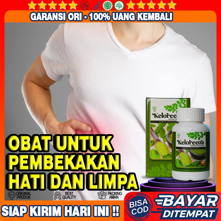 Obat Herbal Pembengkakan Hati Dan Limpa Obat Limpa Bengkak Alami Kapsul Daun Kelor Shopee Indonesia