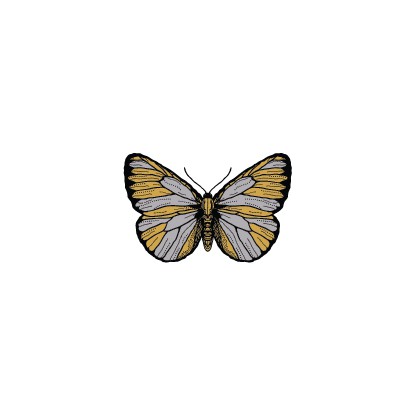

POTATOO GOLDEN BUTTERFLY Temporary Tatto Sticker