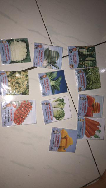 Benih Biji Bibit Sayuran/sayur Pakchoy Ching Chiang