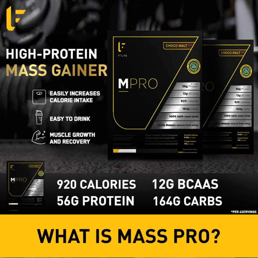 Fitlife Mpro Gainer 5.3 Lbs Mass Pro Gainer Fit Life