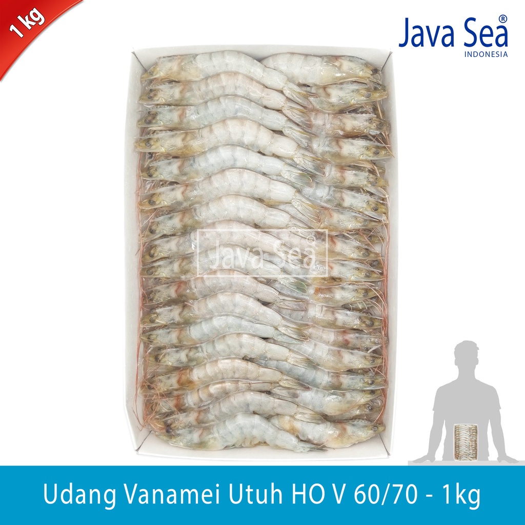 

Udang Vanamei Utuh Ada Kepala HO V 60/70 pack 1kg Java Sea