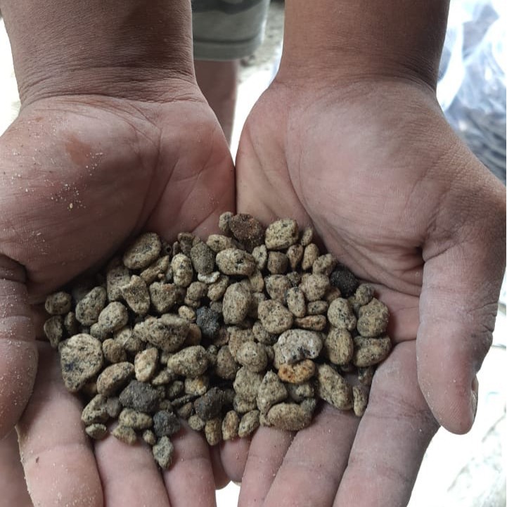 Batu Pumis / Pumice Media Tanam Ukuran Kecil Kemasan 20 Kg