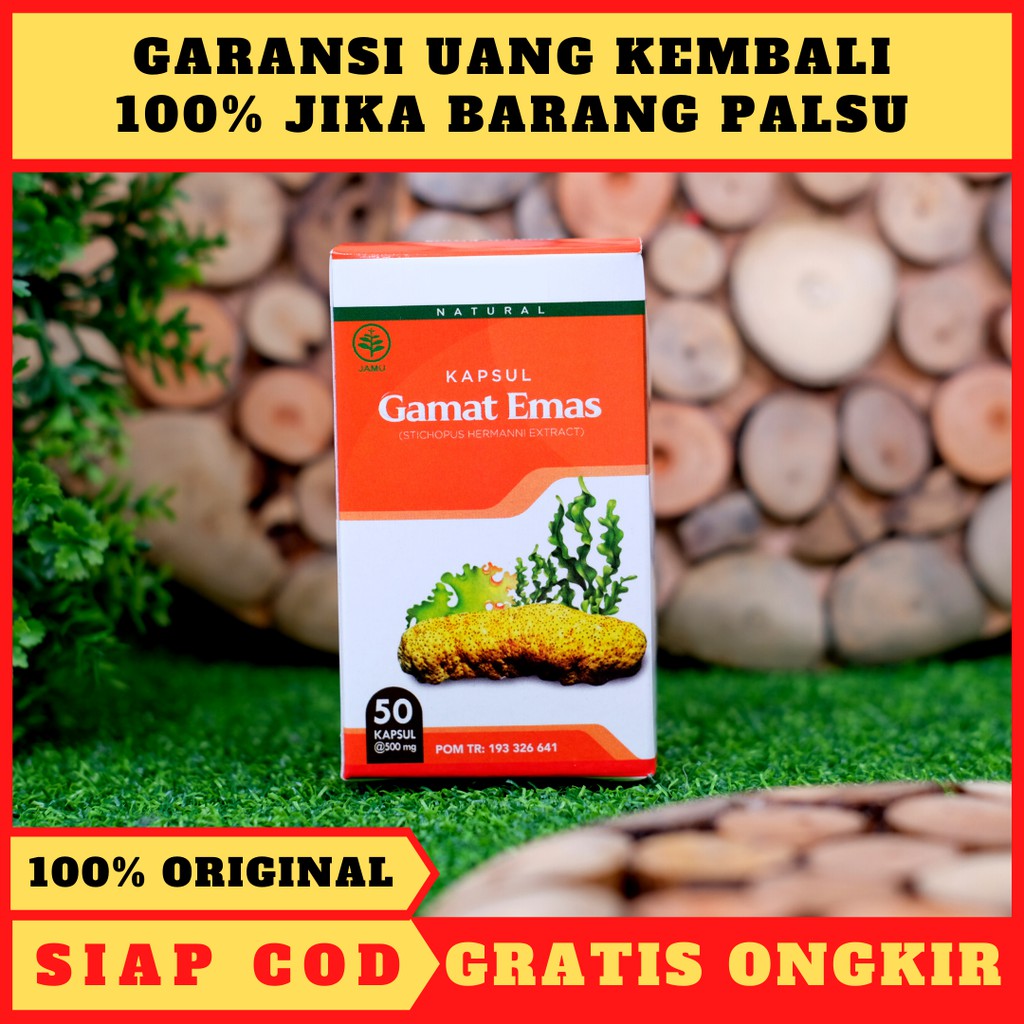 KAPSUL GAMAT EMAS - Obat Ginjal Bocor, Infeksi Ginjal, Kista Ginjal, Sindrom Nefrotik