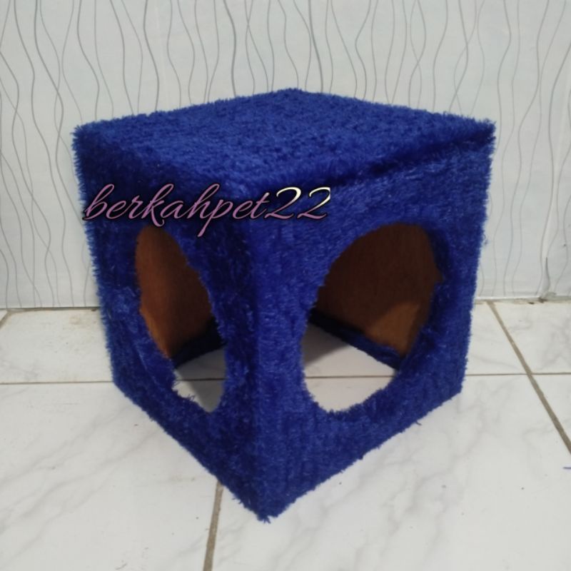 rumah kucing box rumah tanpa tiang