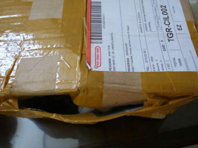 Set Bunga Plastik Aster Dengan Pot Dinding