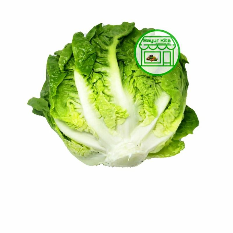 

lettuce romaine 1kg