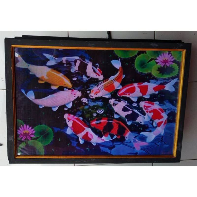 hiasan dinding lukisan cetak ikan koi 8 fengshui plus bingkai ukuran 65×45