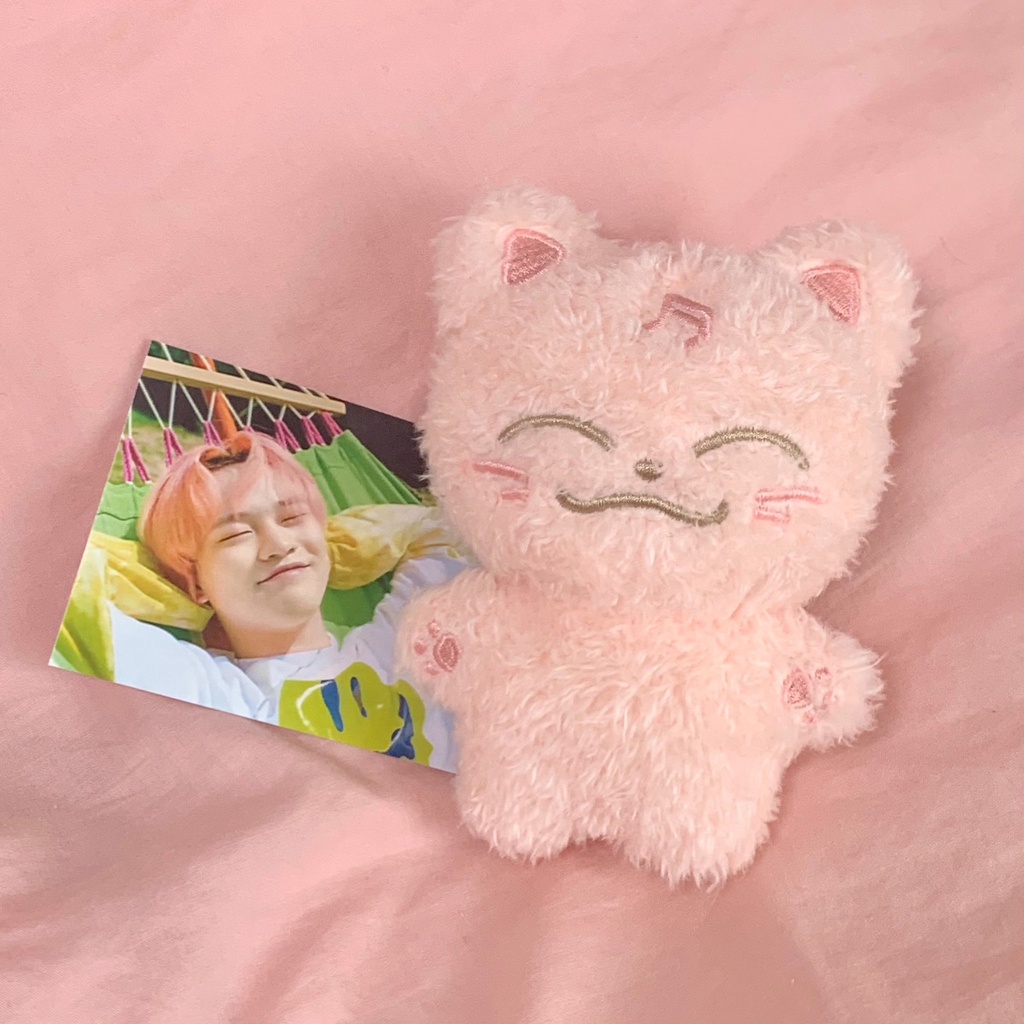 BACA DESKRIPSI  NCT DREAM CHENLE Momotoule 10cm doll