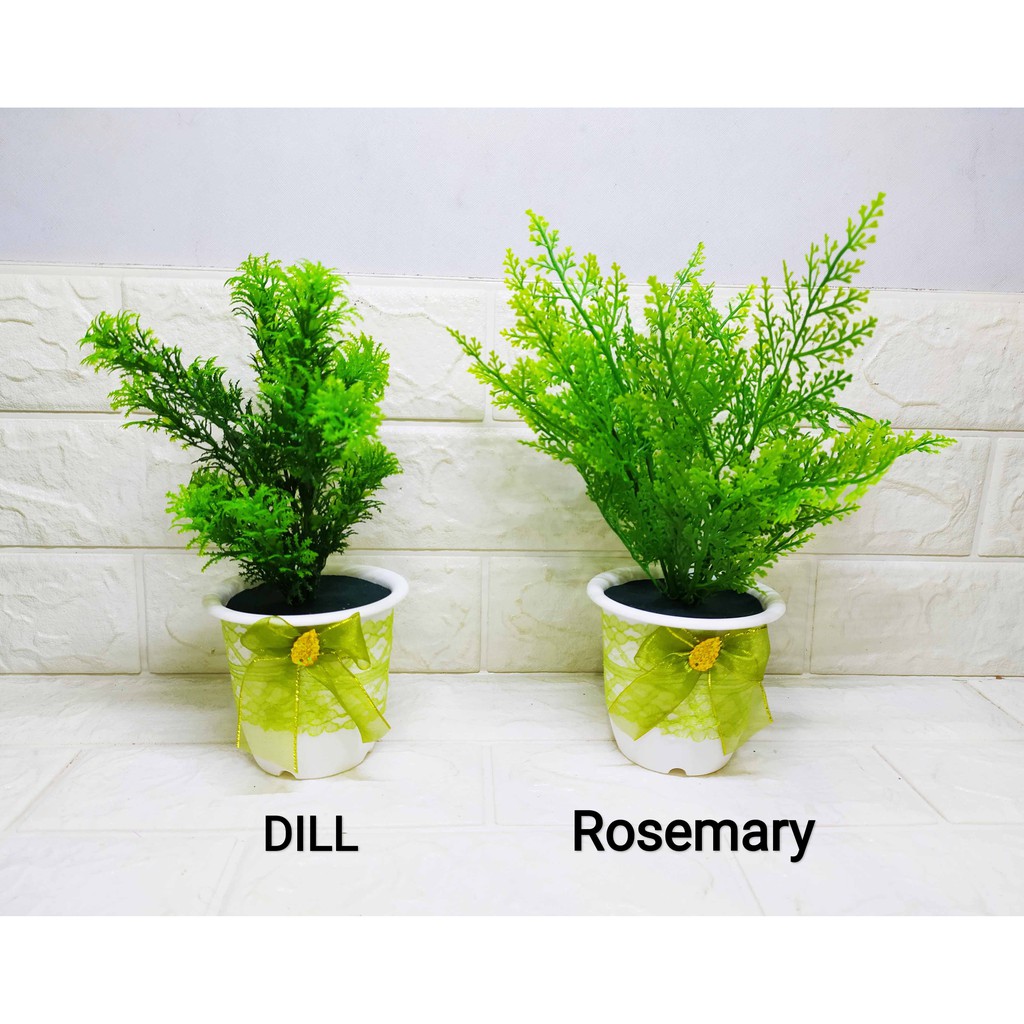 ROSEMARY &amp; DILL Pajangan Tanaman Imitasi Cantik Dekorasi Hiasan Murah