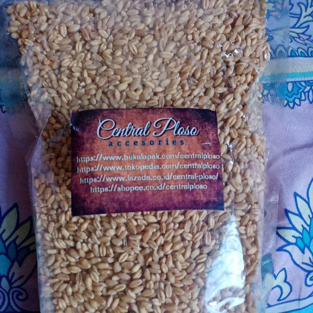Biji Gandum Berat 1 Kg Import Dari Maroko