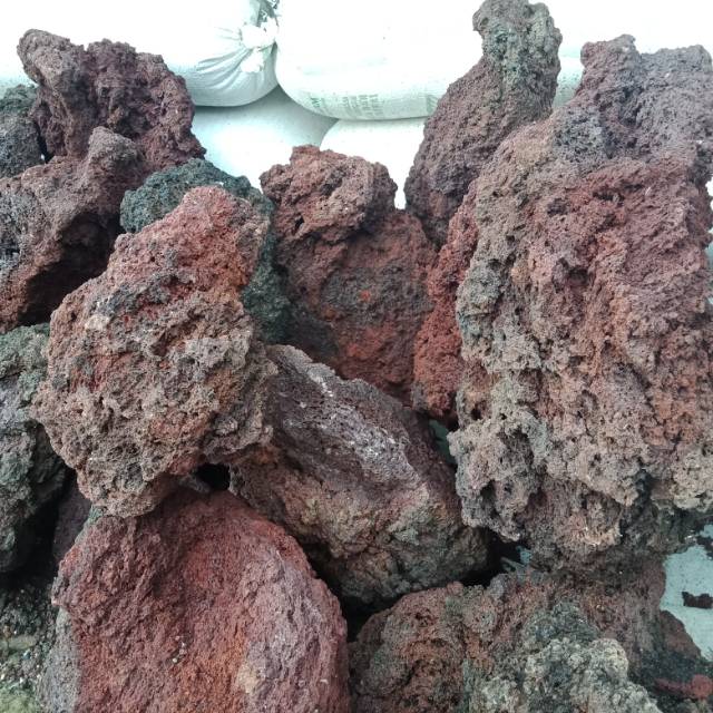  Batu  lava  rock aquarium aquascape Shopee Indonesia