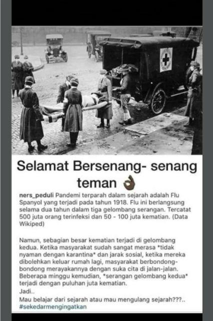 Neem Oil / Minyak Mimba Pestisida Organik 50ml