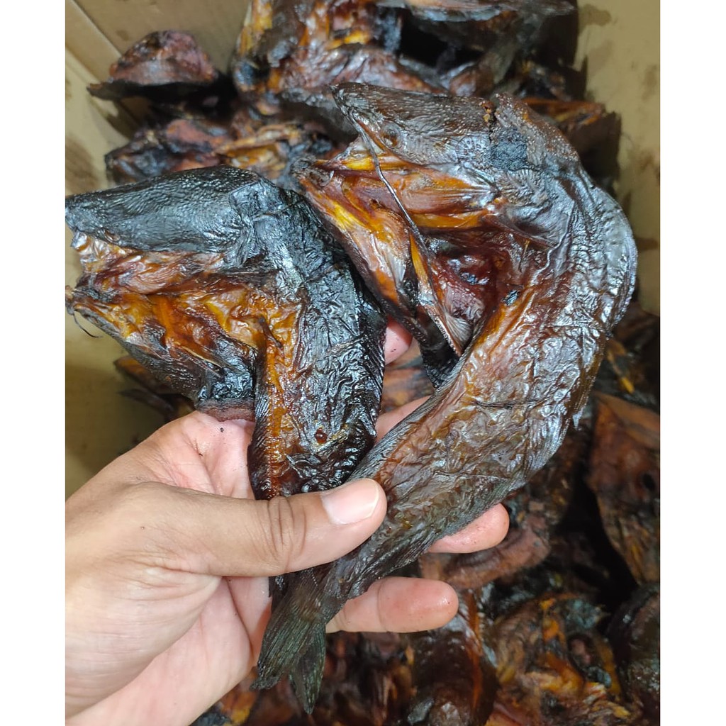 

Ikan Lele Asap