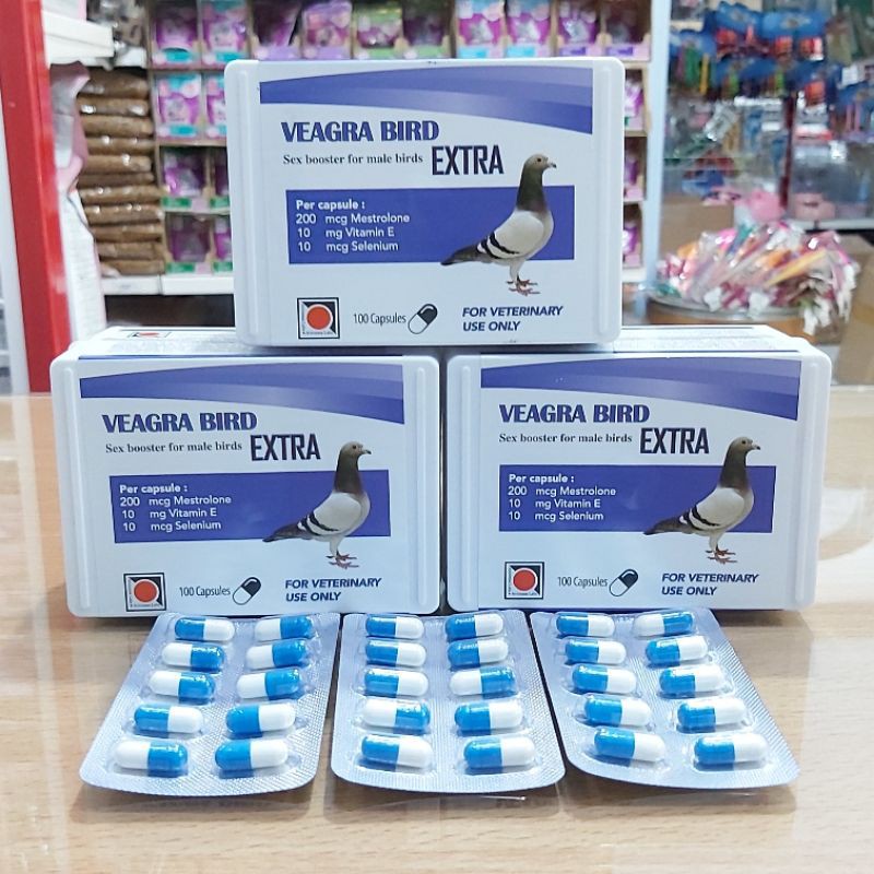 Veagra Bird Extra Capsule 1 Blister isi 10 pcs Vitamin Singing Sexsual Untuk Burung