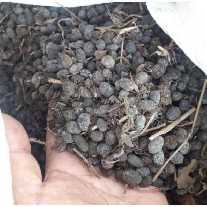 pupuk kandang/pupuk kotoran kambing murni/kotoran kambing 1kg