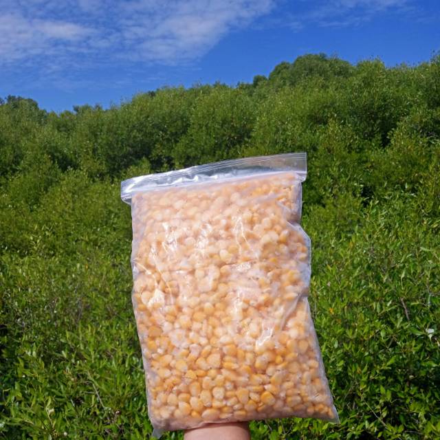 

Jagung manis pipil