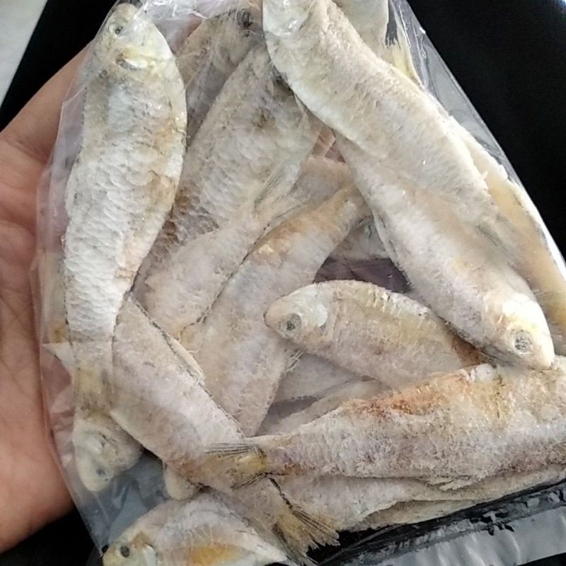 

ikan asin ikan goreng ikan gereh kemasan 1 porsi masak termurah