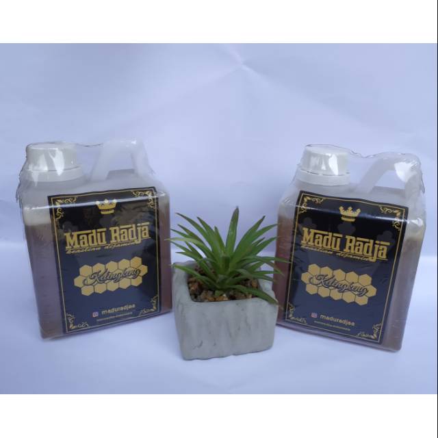 

MADU ASLI MURNI TANPA CAMPURAN (MADURADJA)